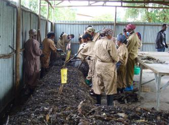 Kompostierungstraining Frauengruppe